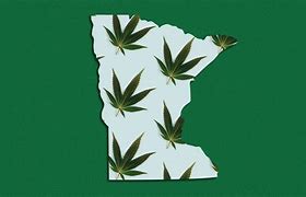 Image result for Legalized Weed MN