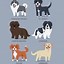 Image result for Dog Breed Posters