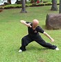 Image result for Praying Mantis Kung Fu Forms