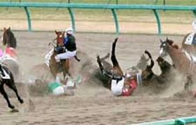 Image result for Horse Racing Accidents