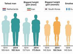 Image result for 5 Meters Tall