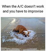 Image result for Funny Memes About Staying Cool