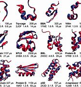 Image result for Protein Fold