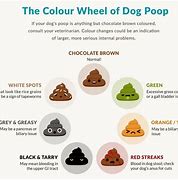 Image result for Dog Poop Coloring Page