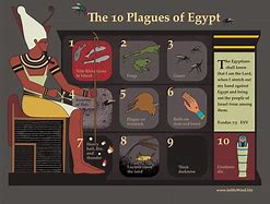 Image result for The 12 Plagues of Egypt