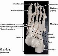 Image result for Objects Measured in Feet