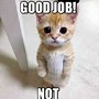 Image result for Cute Funny Meme Good Job