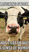 Image result for Cow Work Meme