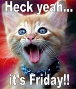 Image result for Happy Friday Cat Images Funny