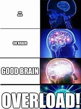 Image result for My Brain Is On Overload Meme