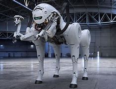 Image result for Tesla Robot Dog