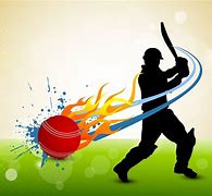 Image result for Cricket Sports Fans Graphics