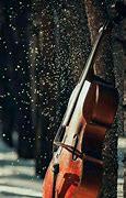 Image result for Cool Cello