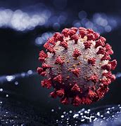Image result for Coronavirus 2025