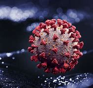 Image result for Coronavirus Common Cold