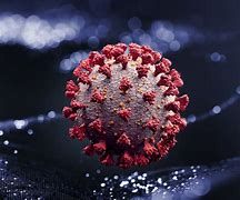 Image result for New Cases of Virus