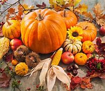 Image result for Fall Produce
