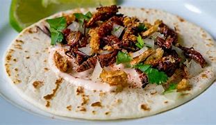 Image result for Cricket Tacos Mexico