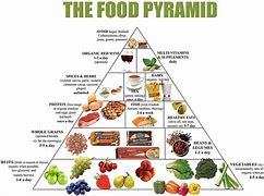 Image result for Diet Pyramid