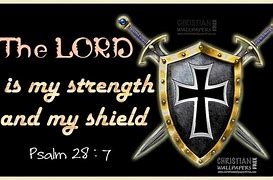 Image result for The Shield Protector Background Poster