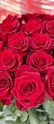 Image result for Roses Rouges Naturel