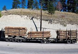 Image result for Logging