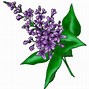 Image result for Purple Leaf Clip Art