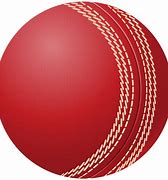 Image result for Cricket Free Image Transparent