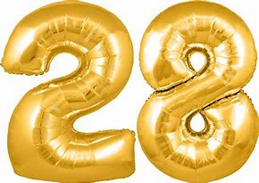 Image result for 28 Balloons