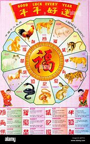 Image result for Chinese Astrology