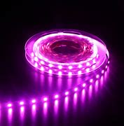 Image result for Purple LED Light Screen