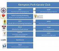 Image result for Types of Karate Affiliations