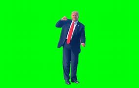 Image result for Trump Green screen