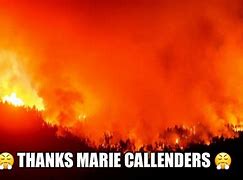 Image result for Marie Calendar Meme