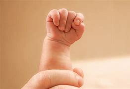 Image result for Ababy Fist