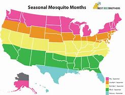 Image result for Mosquito Season by Van Riper