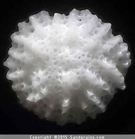 Image result for Microscopic Sand Grains
