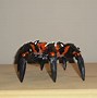 Image result for Spider with Skull Head Action Figure