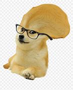 Image result for Big Brain Doge