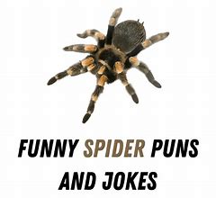 Image result for Spider Puns