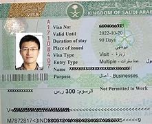 Image result for Saudi Arabia Work Visa for Indian