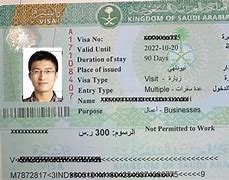 Image result for KSA Business Visa