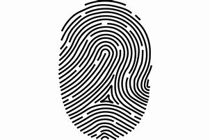 Image result for Fingerprint PNG Transparent