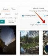 Bing Ai Reverse Image Search に対する画像結果