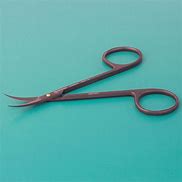 Image result for Irish Scissors