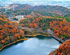 Image result for Osaka Nature