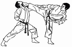 Image result for Karate Drawing Side Kick