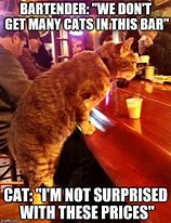Image result for Cat Loading Bar Meme