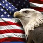 Image result for USA Flag Bald Eagle