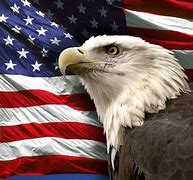 Image result for American Flag with Eagle Veteran